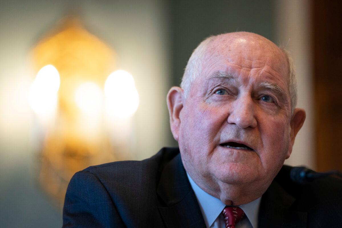  Secretary of Agriculture Sonny Perdue testifies during a House Agriculture Committee hearing in Washington, on March 4, 2020. (Drew Angerer/Getty Images)