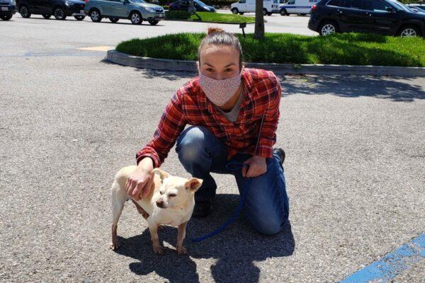 A dog named Bogart from the Society for the Prevention of Cruelty to Animals Los Angeles (SPCALA) shelter finds a new human friend. (Courtesy of the SPCALA)