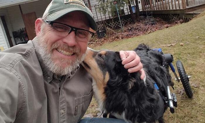 Man Goes on a Mission to Give Injured Animals a Second Chance at Life With Wheelchairs