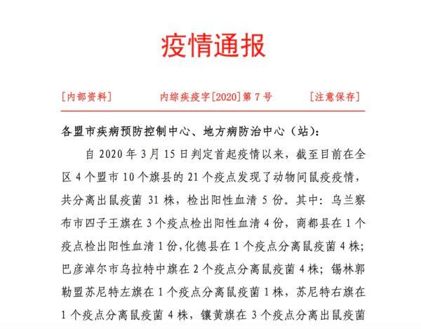 A screenshot of an internal document about a plague outbreak in Inner Mongolia, China on April, 13, 2020. (Provided to The Epoch Times by insider)