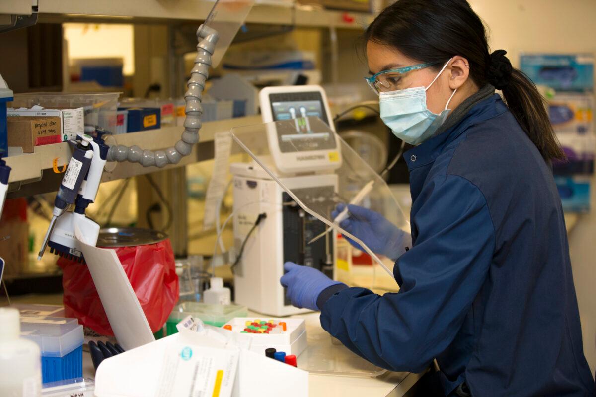 Medical laboratory scientist Alicia Bu runs a clinical test in the Immunology lab at UW Medicine looking for antibodies against SARS-CoV-2, a virus strain that causes COVID-19, in Seattle, Washington on April 17, 2020. (Karen Ducey/Getty Images)