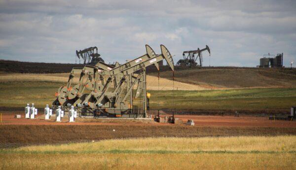 Pump jacks on the Bakken Shale Formation, near Williston, N.D., on Sept. 6, 2016. (Robyn Beck/AFP via Getty Images)