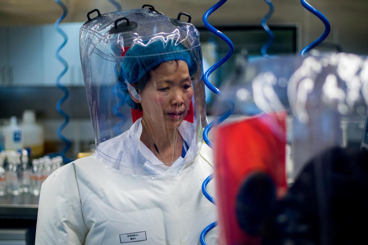 Chinese virologist Shi Zhengli is seen inside the P4 laboratory in Wuhan, capital of China's Hubei Province, on Feb. 23, 2017. (Johannes Eisele/AFP via Getty Images)