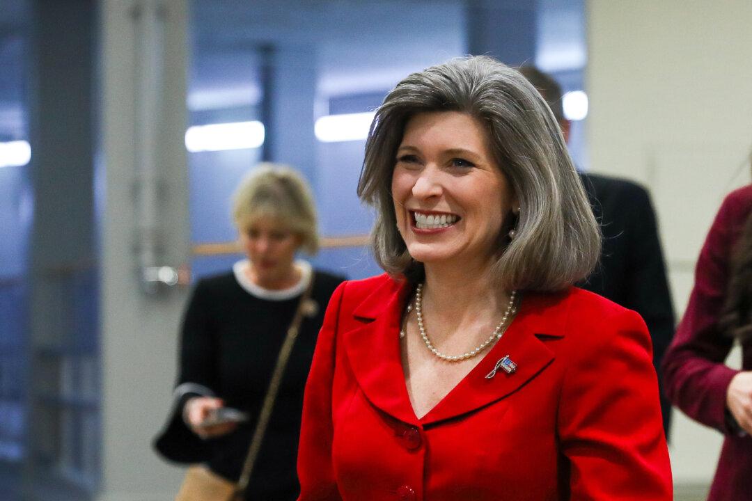 Ernst Gives ‘Squeal Award’ to USDA Unit That Bought Kittens, Puppy Parts in China