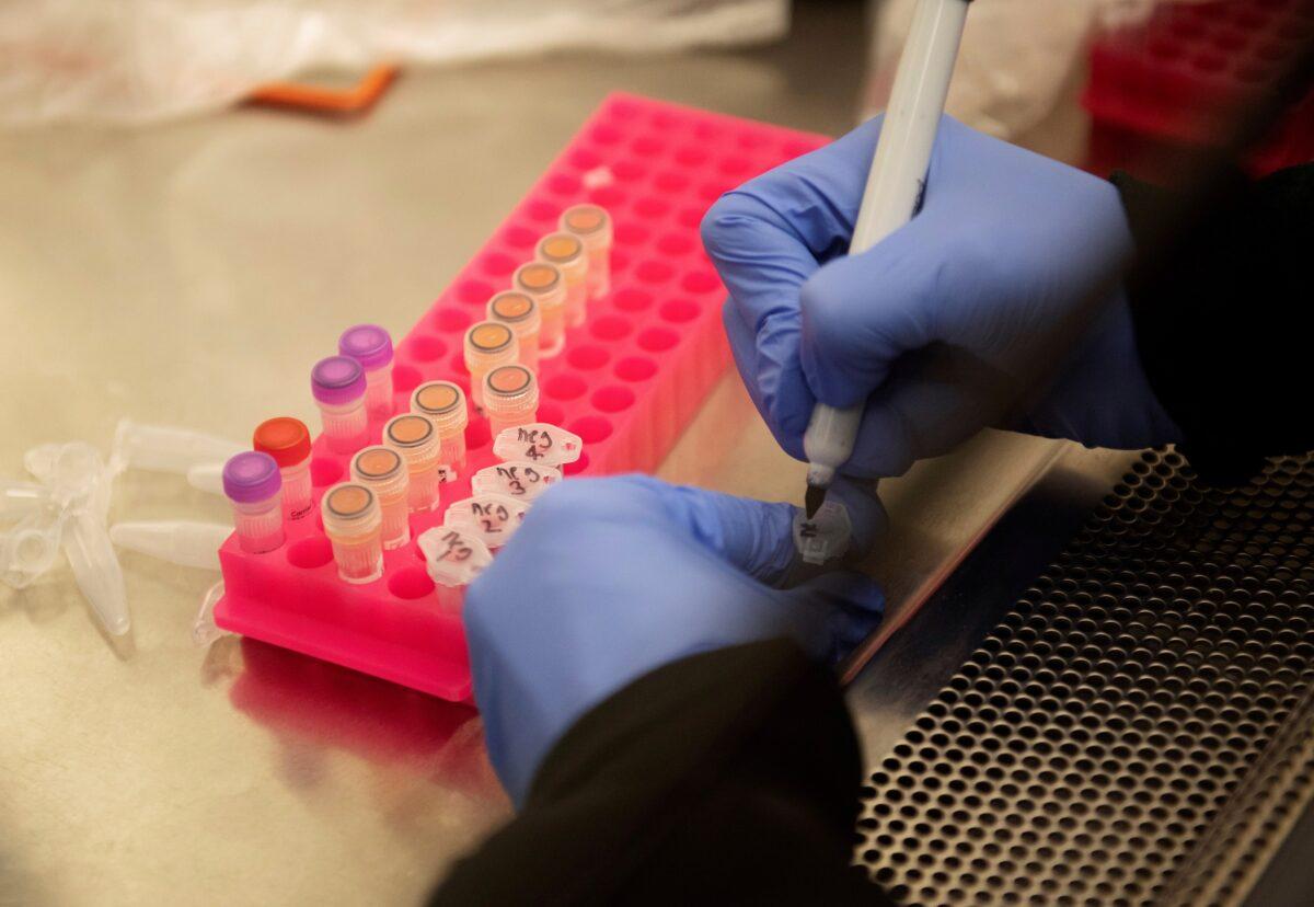 Researchers at the Microbiology Research Facility work with CCP virus samples as a trial begins to see whether malaria treatment hydroxychloroquine can prevent or reduce the severity of COVID-19, at the University of Minnesota in Minneapolis, Minnesota, on March 19, 2020. (Craig Lassig/Reuters)