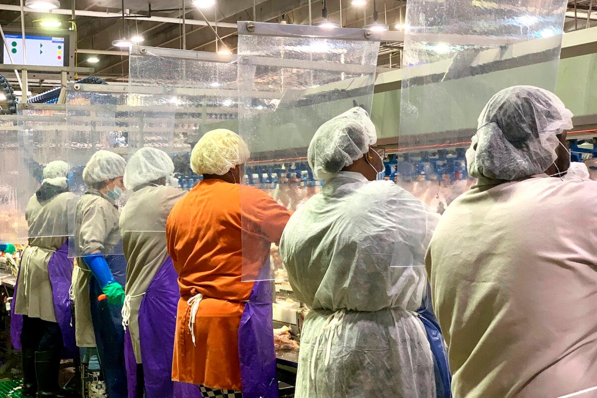 Employees of Tyson Foods wearing protective masks and standing between plastic dividers at the company’s poultry processing plant in Camilla, Georgia, in a file photo. (Tyson Foods via AP)