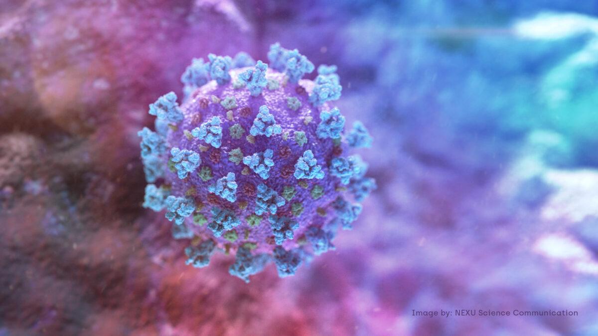 A computer image created by Nexu Science Communication together with Trinity College in Dublin, shows a model structurally representative of a betacoronavirus which is the type of virus linked to COVID-19. (NEXU Science Communication/via Reuters)