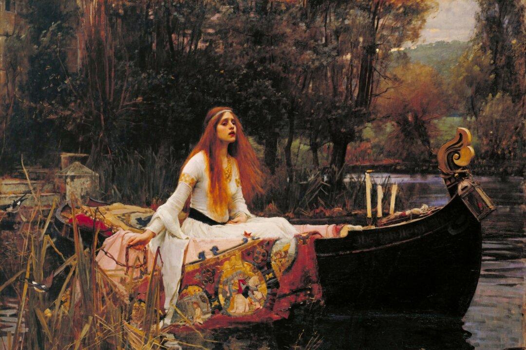 The Power of the Imagination