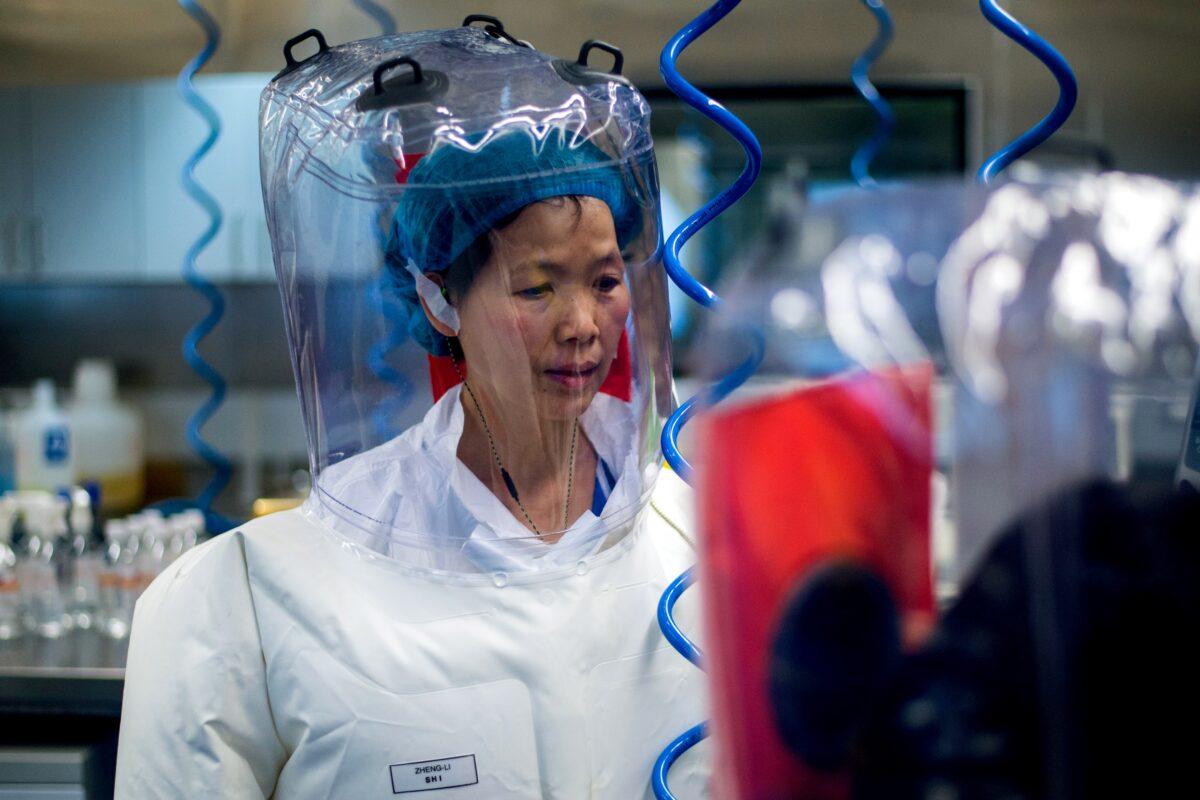 Chinese virologist Shi Zhengli in the P4 laboratory in Wuhan, capital of China's Hubei Province, on Feb. 23, 2017. (Johannes Eisele/AFP via Getty Images)