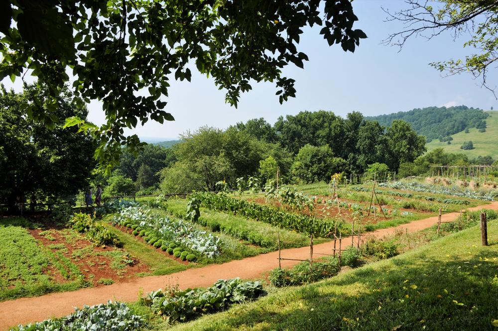 The extensive gardens at Monticello. (Kim Kelley-Wagner/Shutterstock)