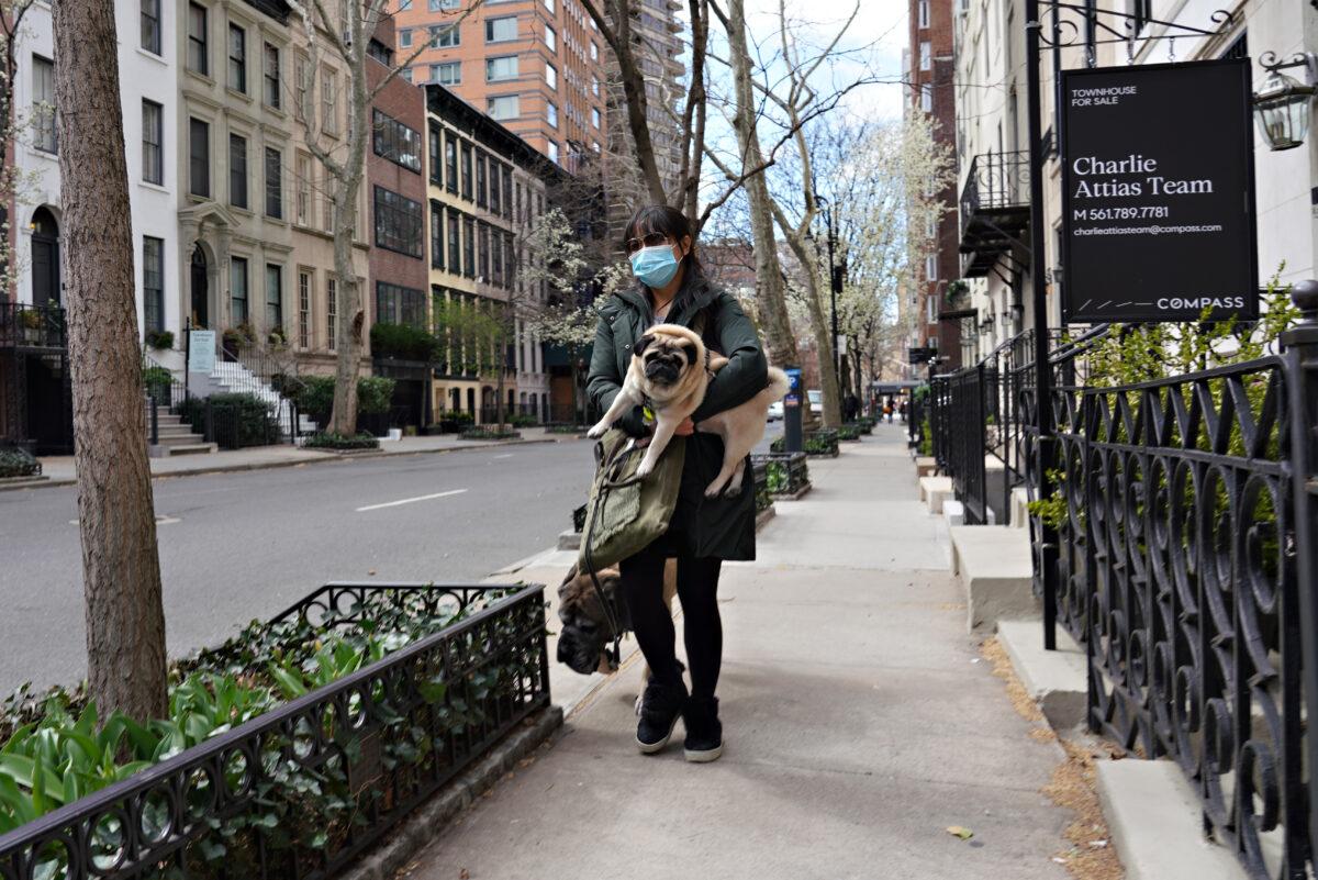 A woman wearing a protective mask carries a pug dog in New York City on April 2, 2020. (Cindy Ord/Getty Images)