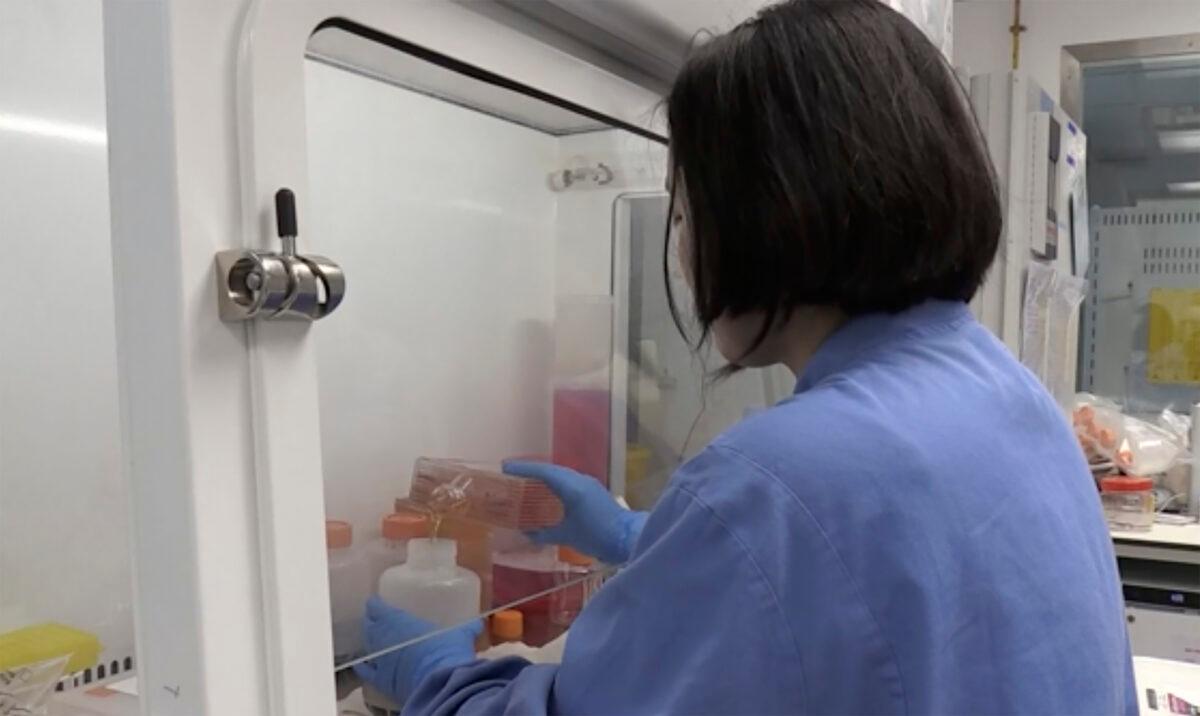 A person works inside the lab working on a potential CCP virus vaccine at Oxford University, England, on April 23, 2020. (Oxford University Pool via AP)