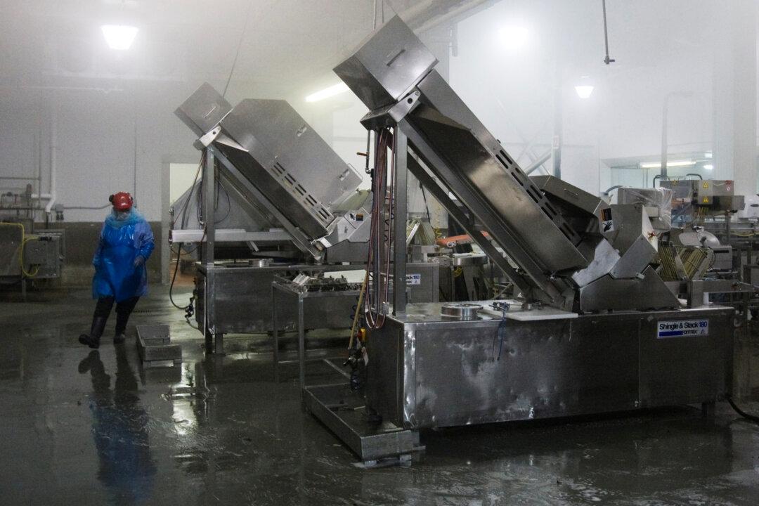 As Meat Plant Infections Rise, Canada Lets Packers Choose When to Close