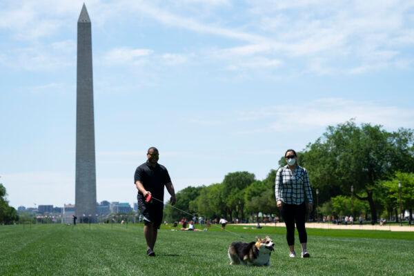 People wearing protective masks walk a corgi on the National Mall in Washington, on May 2, 2020. (Sarah Silbiger/Getty Images)