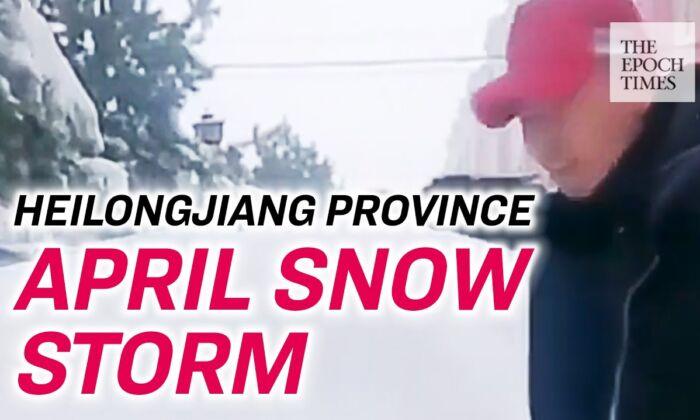 Waist High Snow Hits Northeastern China