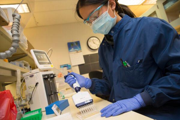 Medical laboratory scientist, Alicia Bui, runs a clinical test in the Immunology lab at UW Medicine looking for antibodies against SARS-CoV-2, a virus strain that causes CCP virus disease (COVID-19) in Seattle, Wash., on April 17, 2020. (Karen Ducey/Getty Images)