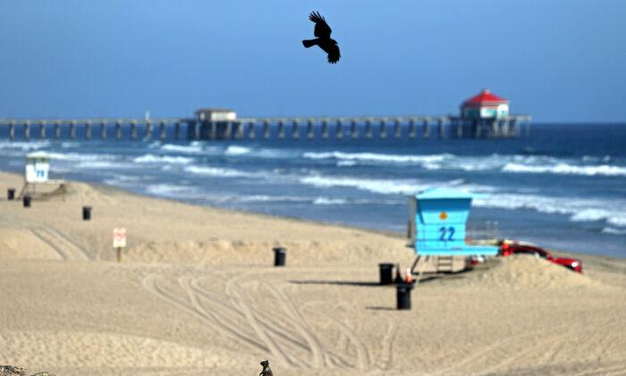 Newsom Approves Reopening of 2 Orange County Beaches for ‘Active Recreation’