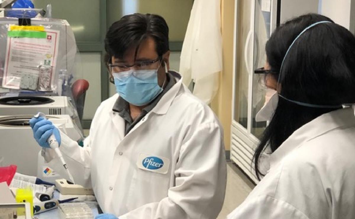 Pfizer Starts Human Trials of Potential CCP Virus Vaccines