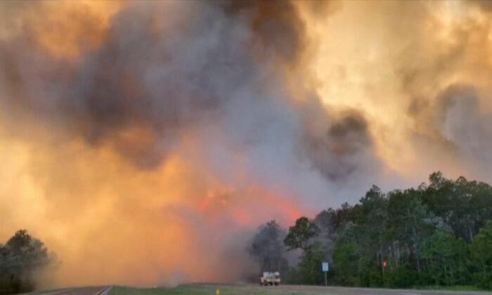 Hundreds Evacuated as Wildfires Rage in Florida Panhandle
