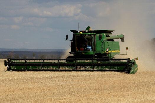 Barley harvest in Grenfell, New South Wales, Australia, on Nov. 12, 2007. (Greg Wood/AFP via Getty Images)