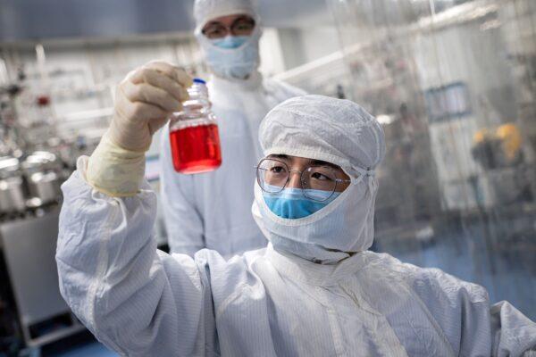 An engineer looks at monkey kidney cells while testing an experimental vaccine for the COVID-19 virus inside the Cells Culture Room laboratory at the Sinovac Biotech facilities in Beijing, China, on April 29, 2020. (Nicolas Asfouri/AFP via Getty Images)