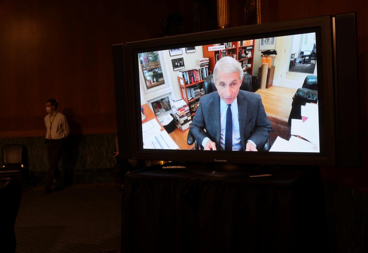 Dr. Anthony Fauci, director of the National Institute of Allergy and Infectious Diseases, speaks remotely during the Senate Committee for Health, Education, Labor, and Pensions hearing on COVID-19 in Washington on May 12, 2020. (Win McNamee/Pool via Reuters)