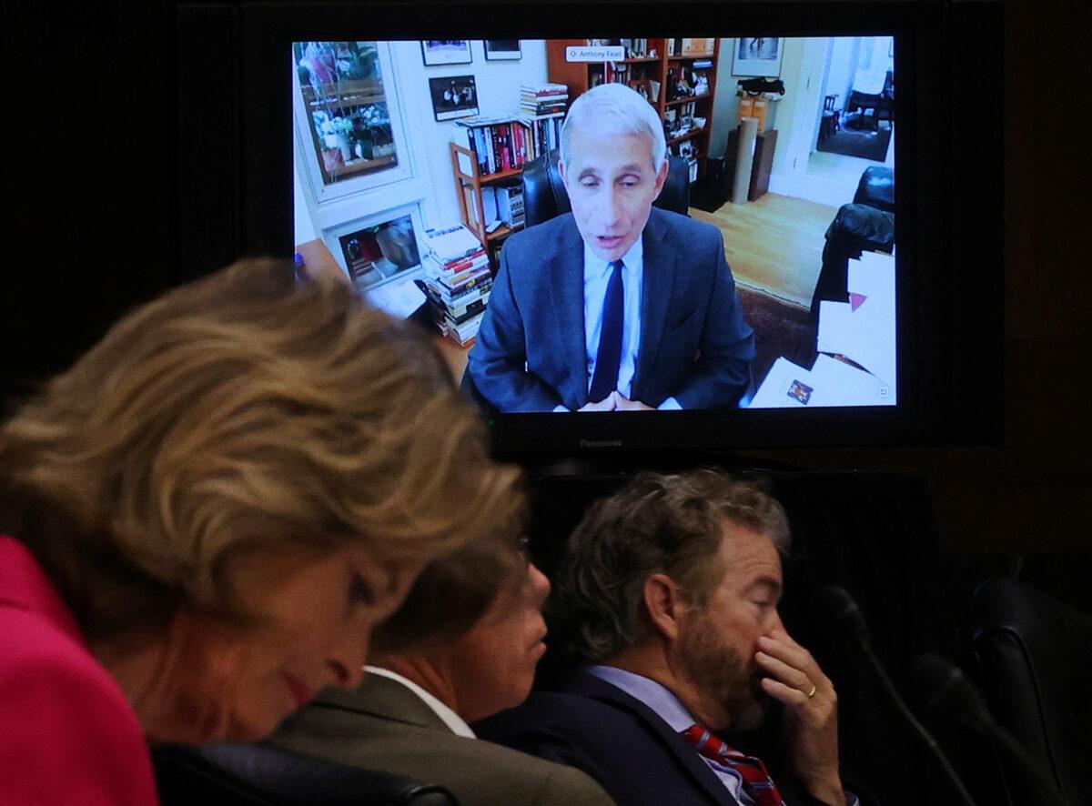 Senators listen to Dr. Anthony Fauci, director of the National Institute of Allergy and Infectious Diseases, speaking remotely during the Senate Committee for Health, Education, Labor, and Pensions hearing on COVID-19 response, in Washington on May 12, 2020. (Win McNamee/Pool/Reuters)