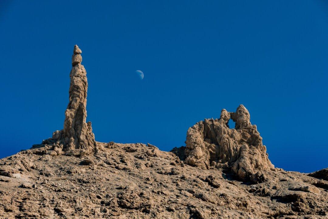 What the Story of Lot’s Wife Can Tell Us: Don’t Look Back!