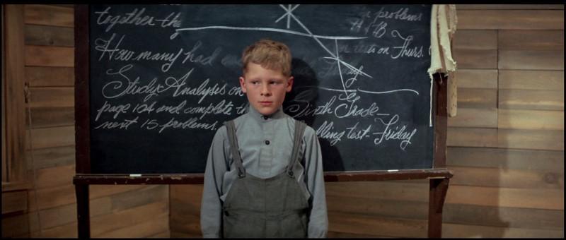 Sam O'Brien plays a boy too short to go on the cattle drive (see line above his head) in "The Cowboys." (Warner Bros)