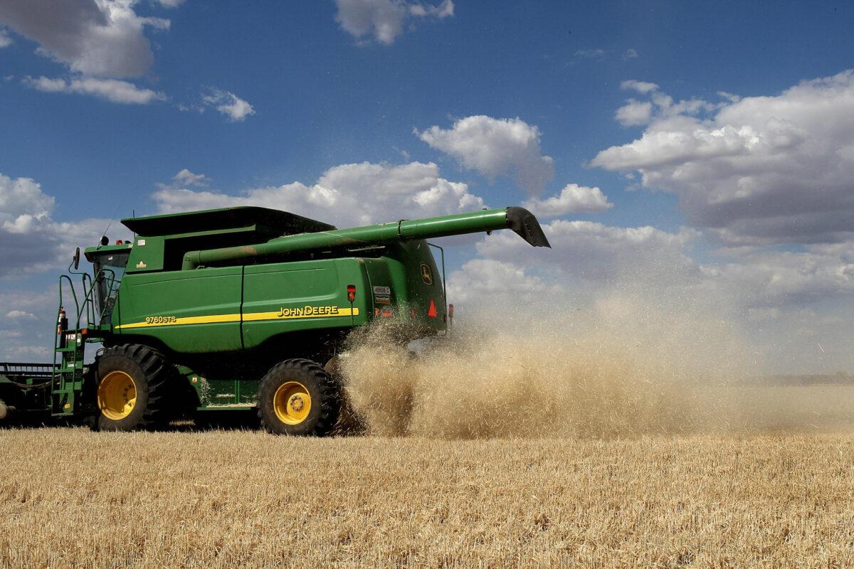 Barley crop being harvested on the property in central-west New South Wales, Australia. (Greg Wood/AFP via Getty Images)