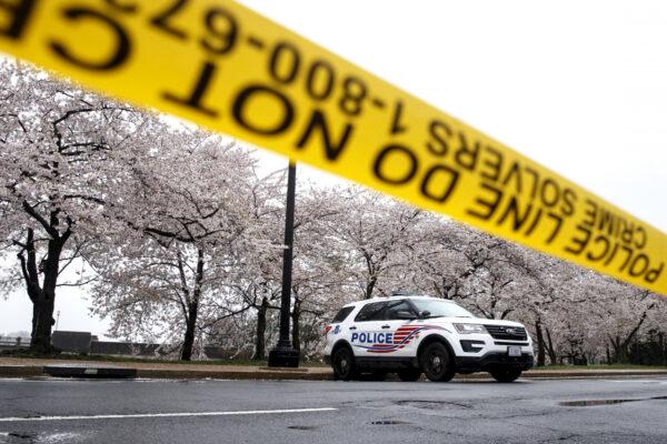 A Washington D.C. Metropolitan Police vehicle is parked on the other side of a tape police line along the Tidal Basin as cherry blossoms cover the trees, in Washington, on March 23, 2020. (Carolyn Kaster/AP Photo)