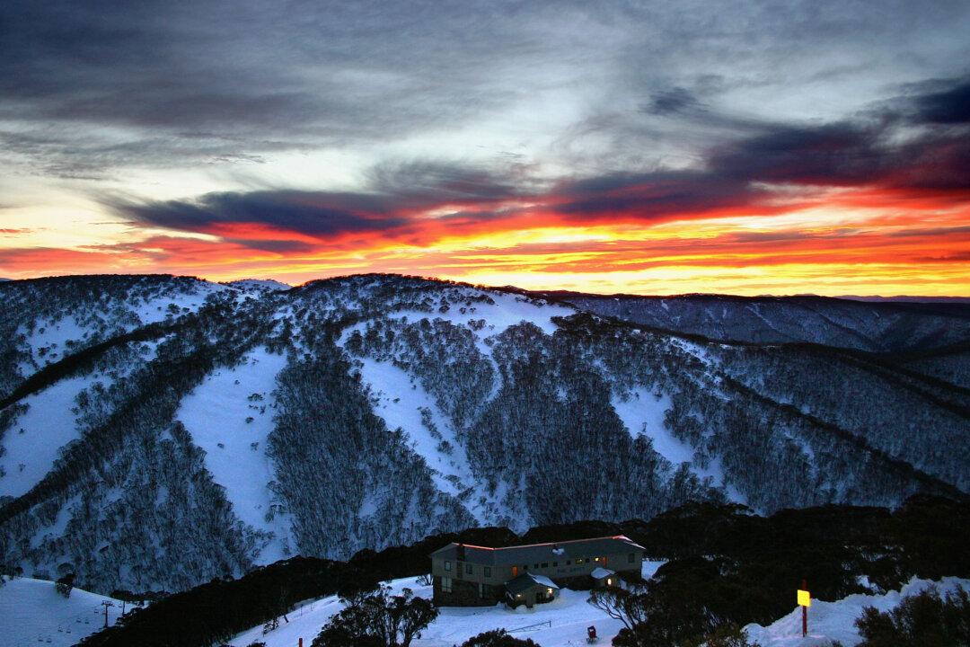 ‘We Need People Moving Across This Country Again’: Australia’s Trade Minister