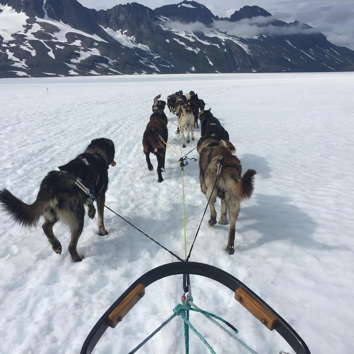 Sled dogs whisk visitors into the wilderness on Colony Glacier, in Alaska. (Tim Johnson)