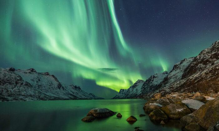 Stunning Image of Giant Phoenix-Shaped Aurora Captured Amid the Northern Lights