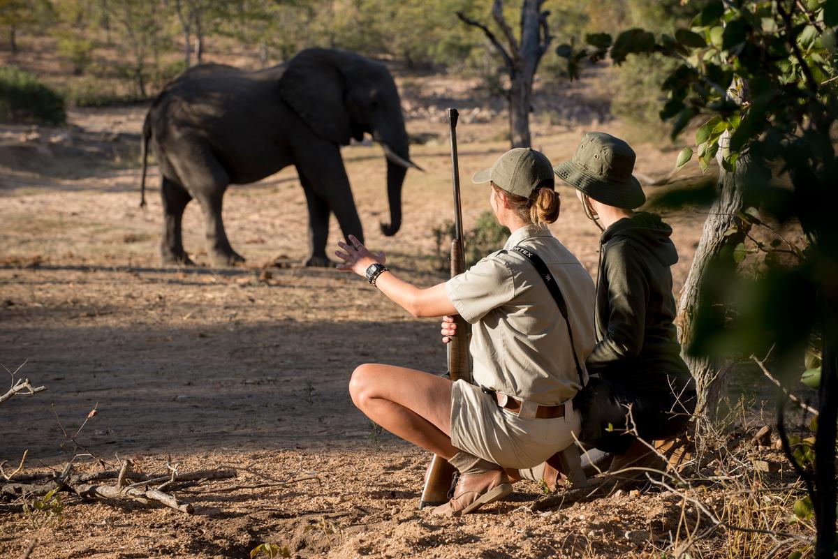 Walking safari, such as those offered at andBeyond’s Ngala Safari Lodge in South Africa’s famed Kruger National Park, are a thrill. (Courtesy of andBeyond)