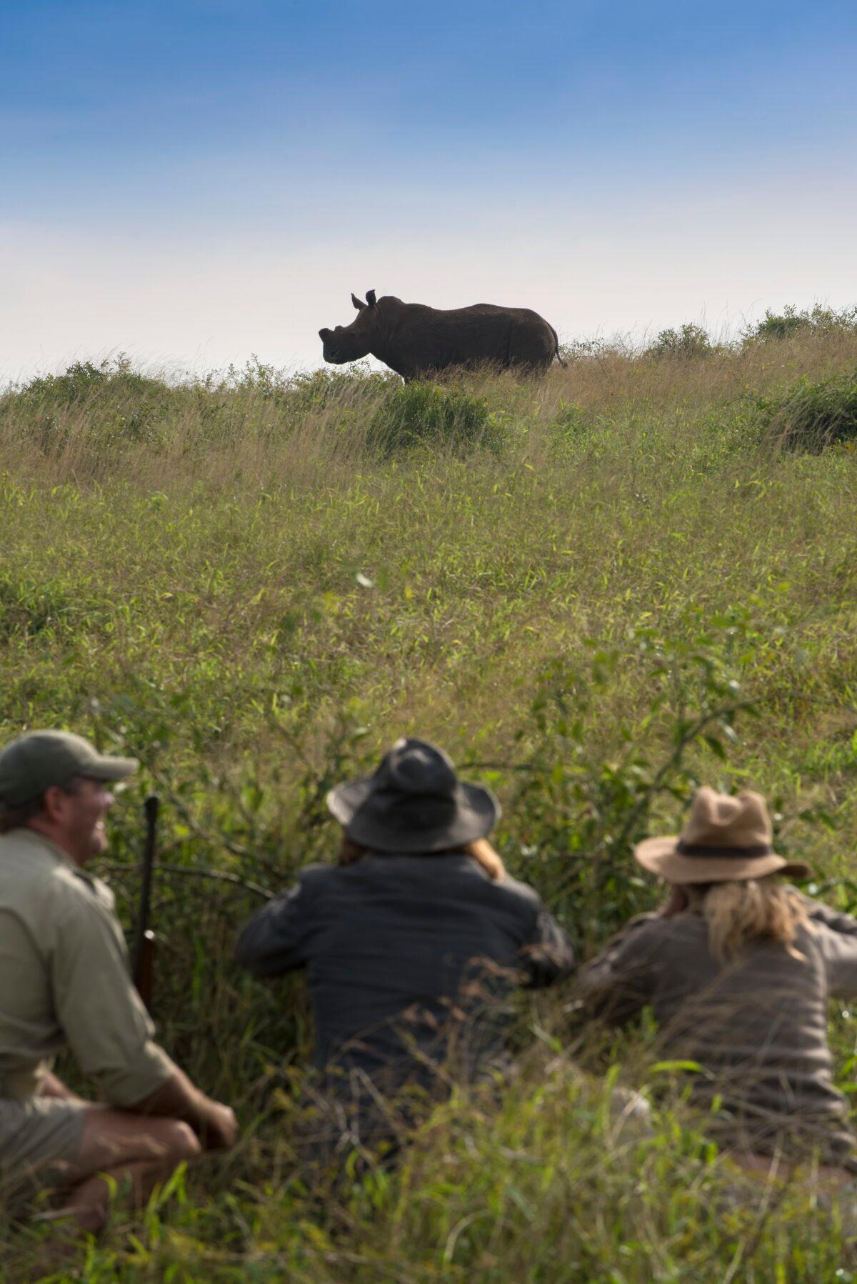 Spotting a rhino on a walking safari. (Courtesy of andBeyond)