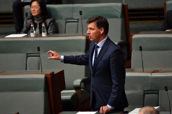 Minister for Energy Angus Taylor, House of Representatives at Parliament House, Canberra, Australia, May 13, 2020. (Sam Mooy/Getty Images)