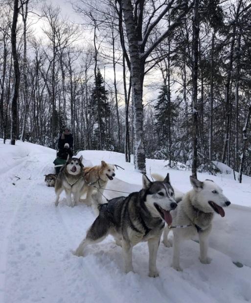 Dogsledding in Quebec. (Janna Graber)