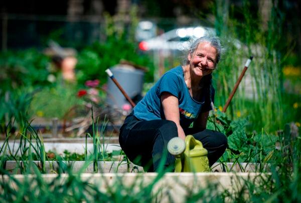 Christine Lamothe works in a community garden after a two month lockdown in Montreal, Quebec, Canada, on May 22, 2020. (Sebastien St-Jean /AFP via Getty Images)