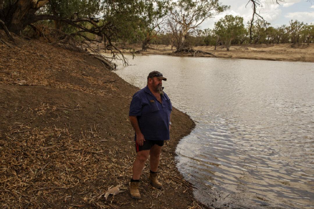 Fish Fatalities in New South Wales’ Lake Wyangan Spurs Investigation