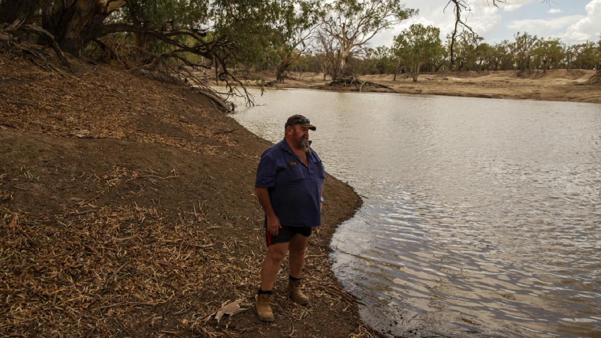 Fish Fatalities in New South Wales’ Lake Wyangan Spurs Investigation
