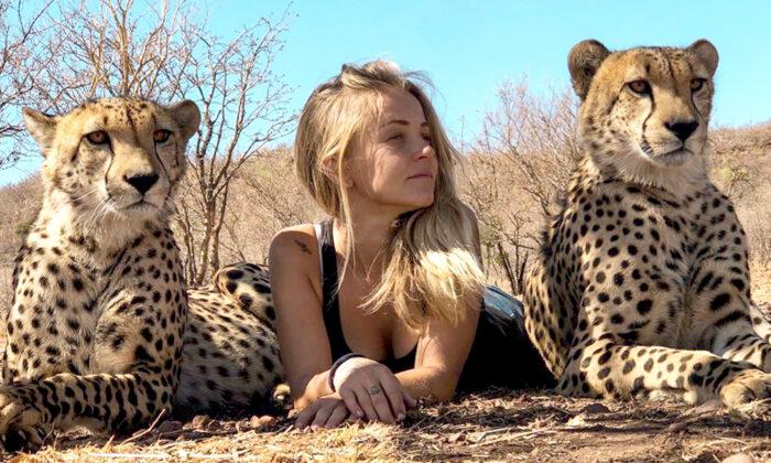 ​Girl Raised With Cheetahs Nurses Big Cats and Predators Back to Health​