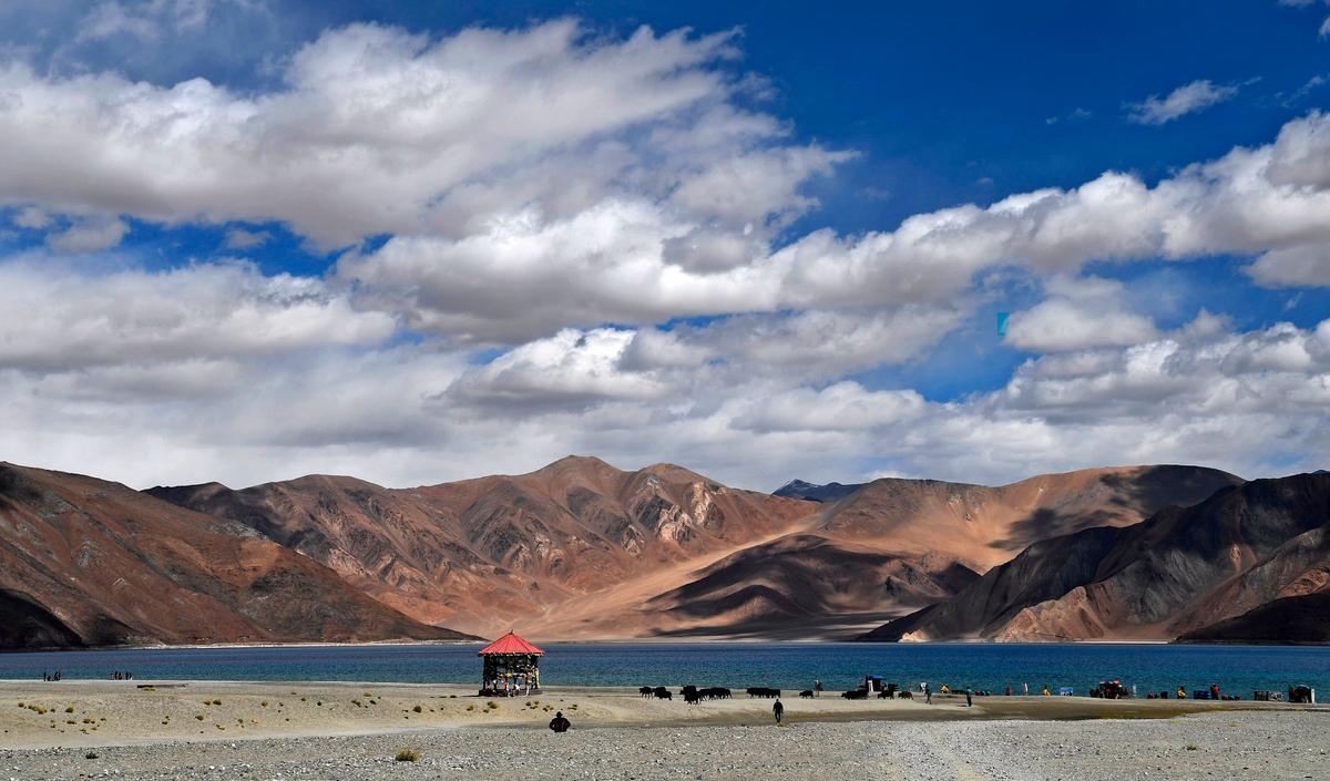 Tourists take selfies as cows gaze in front of Pangong Lake in the Leh district of the Union Territory of Ladakh bordering India and China on Sept. 14, 2018.  (Prakash Singh/AFP via Getty Images)
