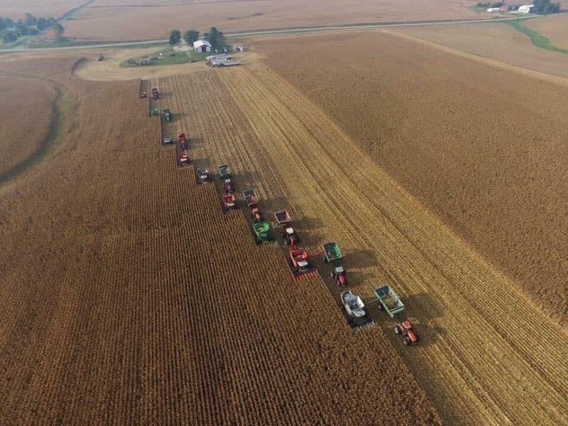 Harvest day: an aerial perspective (Courtesy of <a href="https://www.themostamazingharvest.com/">Pamela Bates</a>)