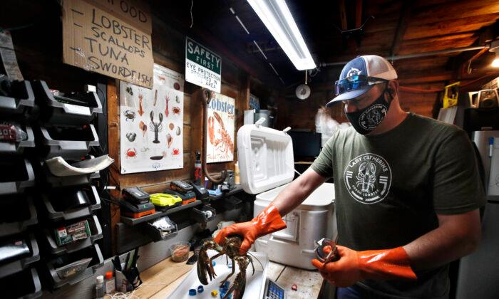 Eric Pray weighs a lobster in his garage in Portland, Maine. (AP Photo/Robert F. Bukaty)