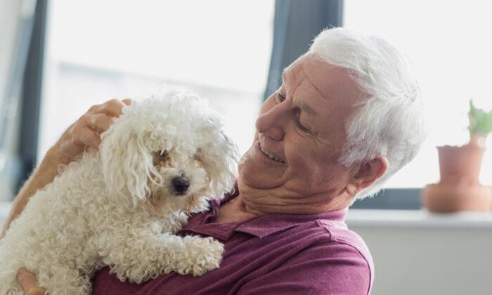 Grandpa Brings Dog Along to Test New Furniture Purchase to Make Sure She Likes It Too