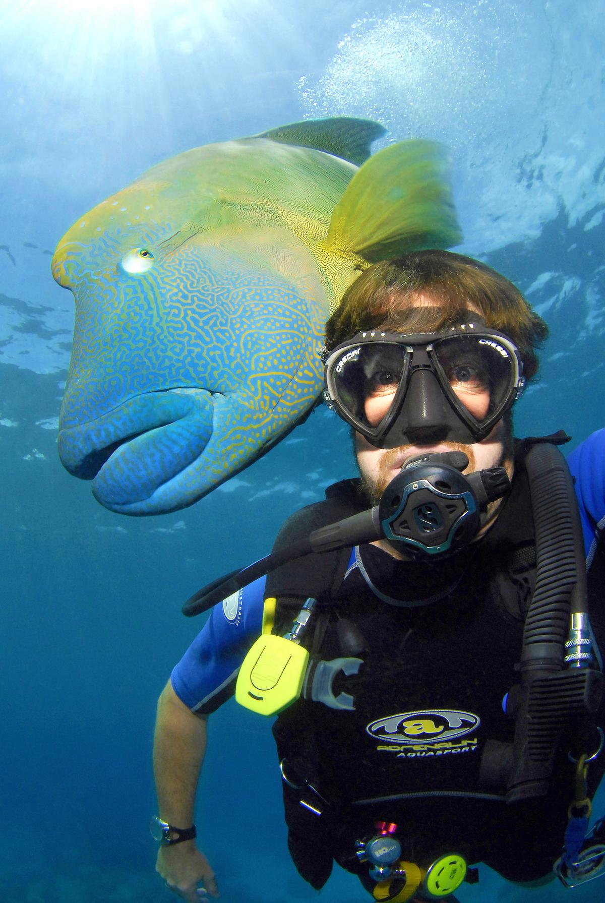Photographer Gary Brennand takes a picture of himself with the Napoleon wrasse while diving near the coast of Bali, Indonesia. (Caters News)