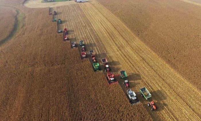 Community Rallied to Harvest 450 Acres in 10 Hours for Farmer With Terminal Cancer