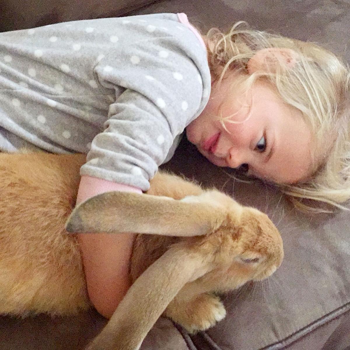 Cocoa Puff the rabbit loves to snuggle with owner Macy. (Caters News)