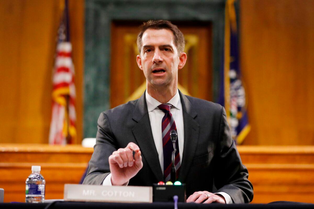 Sen. Tom Cotton (R-Ark.) speaks during a hearing on Capitol Hill in Washington on May 5, 2020. (Andrew Harnik/AFP/Getty Images)